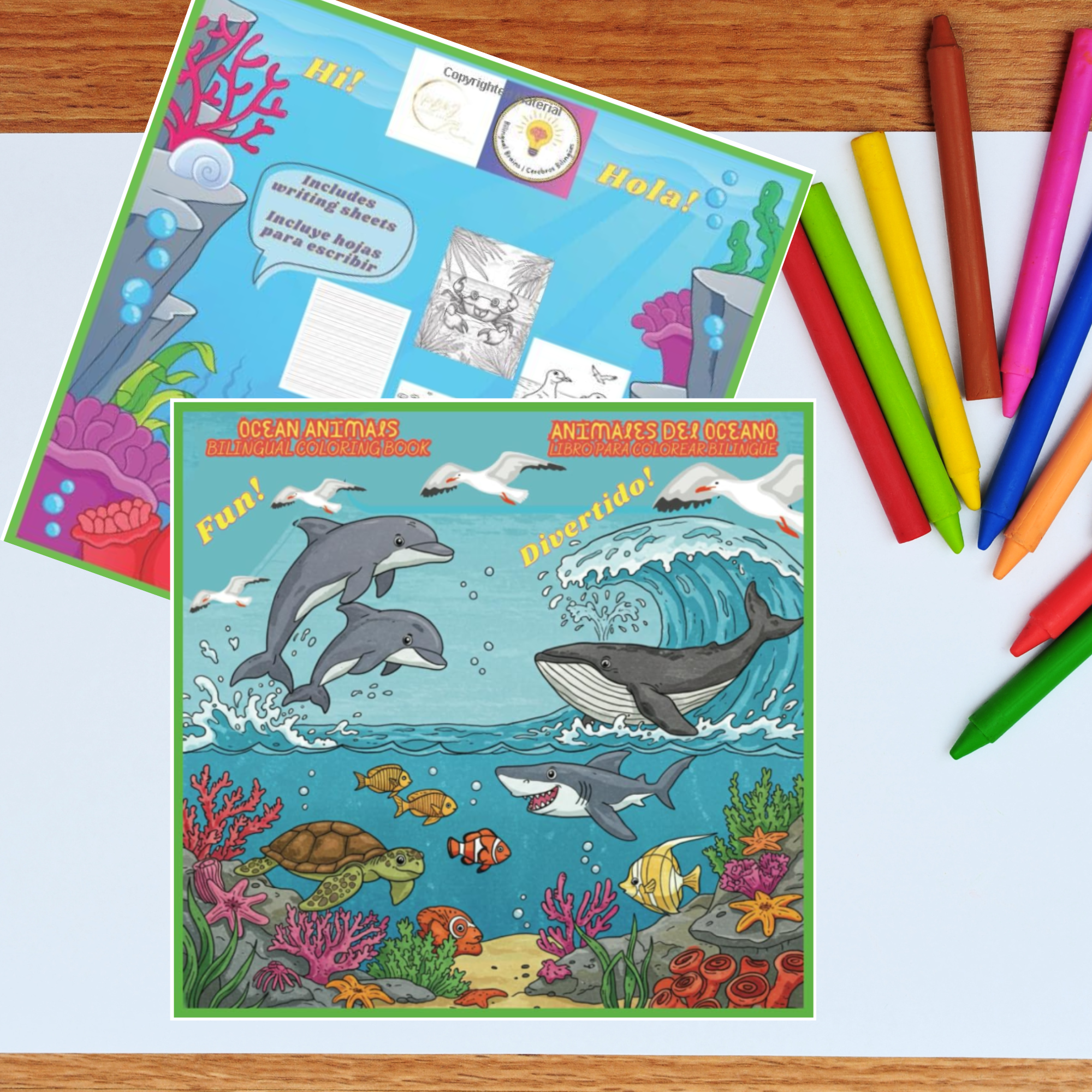 Ocean Animals Bilingual Coloring